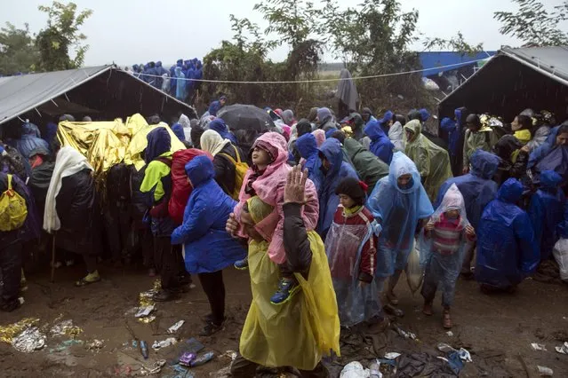 Migrants queue at the border crossing with Croatia near the village of Berkasovo, Serbia October 19, 2015. (Photo by Marko Djurica/Reuters)