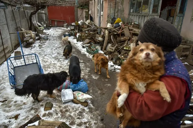 Svitlanas with the dogs she takes care of, near her home in Druzhkivka in Druzhkivka, Donetsk region, eastern Ukraine, 16 February 2023. Svitlana receives pets products assistance for her 13 cats and 14 dogs from the local NGO “Terytoria Dobra” (Territory of kindness), which takes care of homeless animals. In 2021, the international organization “Animal ID” counted 267 homeless dogs in the town. Nowadays, 144 volunteers of “Terytoria Dobra” daily feed 924 dogs and 1392 cats in Druzhkivka. The increase in the number of homeless animals was caused by the war, as many of the people who had to lave their home to seek safety, also had to leave their pets behind. Russian troops entered Ukraine on 24 February 2022 starting a conflict that has provoked destruction and a humanitarian crisis. (Photo by Oleg Petrasyuk/EPA/EFE)