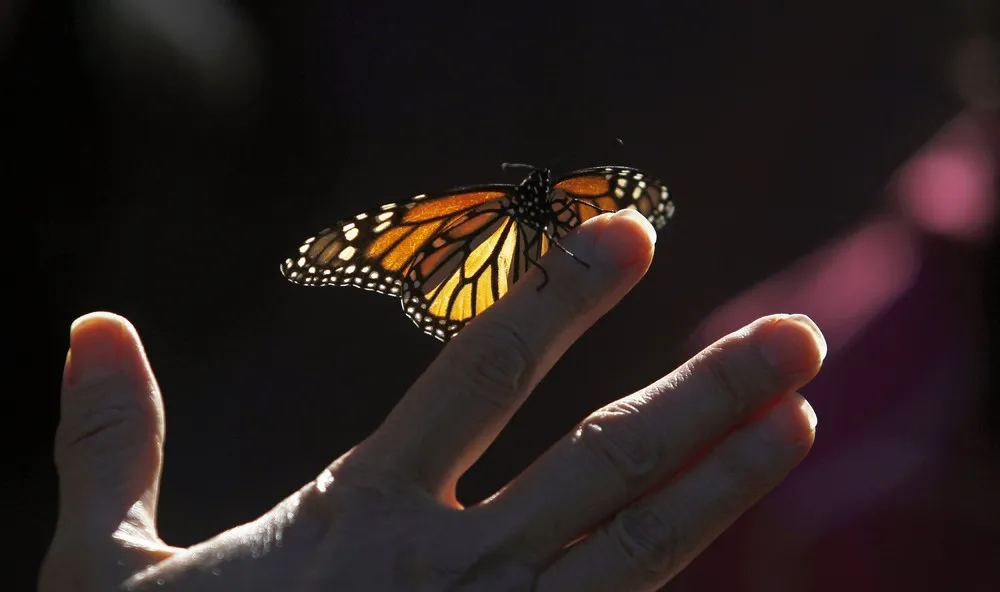 Winter in California