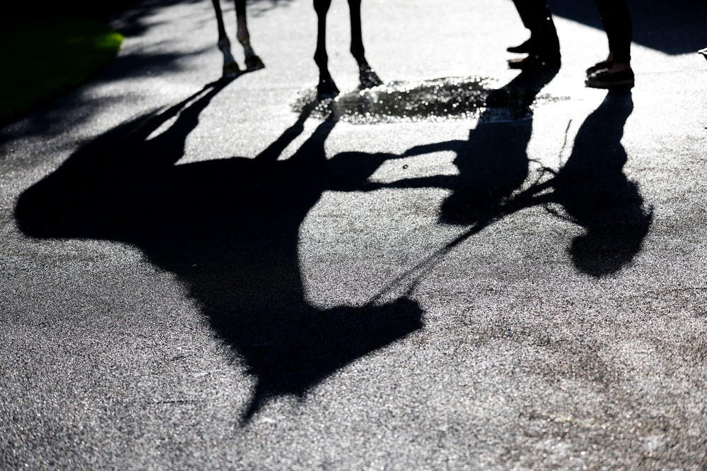 Some Photos: Shadows