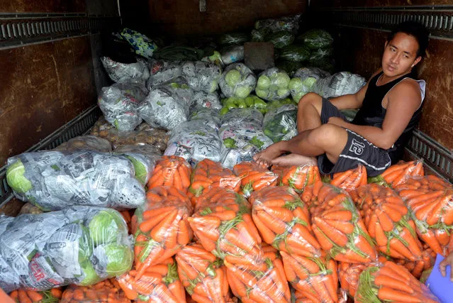 A worker rests on top of vegetables inside the back of a truck at a vegetable market a day after Typhoon Haima hit La Trinidad, Benguet province, Philippines October 21, 2016. (Photo by Ezra Acayan/Reuters)