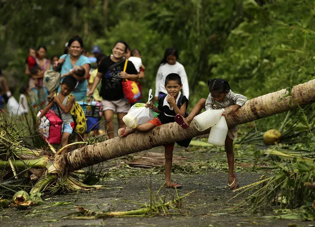 Filipino evacuees walk on a path with debris in the typhoon-hit town of Juban, Sorsogon province, southern Philippines, 15 December 2015. Typhoon Melor weakened slightly as it barreled through the Philippine islands. causing power outages in towns and cities along its path and forcing thousands to flee their homes, officials said. It said 733,150 people had fled their homes amid threats of sea surges, flash floods and landslides. (Photo by Rancis R. Malasig/EPA)