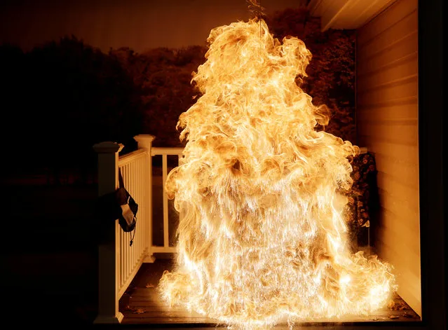 A frozen turkey is dropped into a hot deep fryer and creates a large fireball at a Consumer Product Safety Commission Thanksgiving fire and food safety demonstration of holiday kitchen fires in Rockville, Maryland, U.S. November 22, 2016. (Photo by Gary Cameron/Reuters)