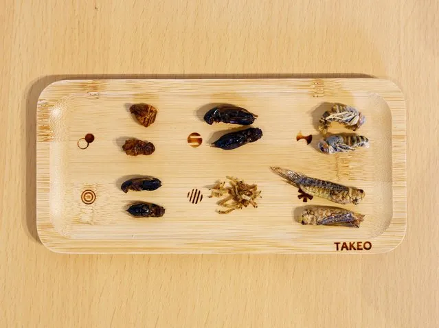 Various insects on a plate are pictured at Take-Noko cafe in Tokyo, Japan, July 21, 2023. (Photo by Kim Kyung-Hoon/Reuters)