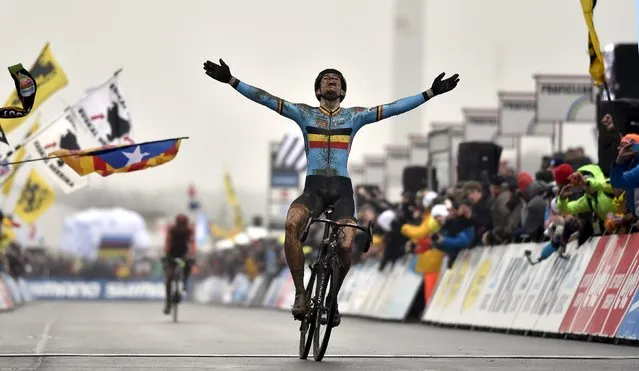 Belgium's Wout Van Aert reacts as he crosses the finish line winning the cyclo-cross world championship in Heusden-Zolder, Belgium, January 31, 2016. (Photo by Eric Vidal/Reuters)