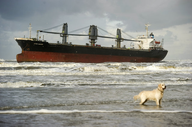 The Aztec Maiden, a Philippine-registered freighter, is seen off a Dutch beach in Wijk aan Zee, January 20, 2012. The Philippine cargo ship ran aground off the Dutch coast  after an unsuccessful attempt to anchor. (Photo by Robin van Lonkhuijsen/Reuters/United Photos)