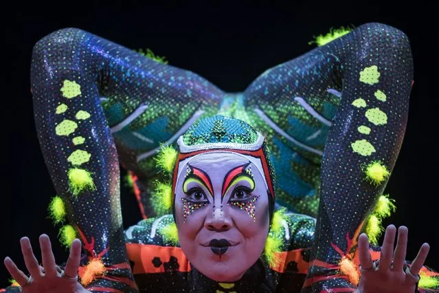 A member of the Canadian circus troop “Le Cirque du Soleil” performs during the show “Totem” in Paris on October 24, 2018. (Photo by Lionel Bonaventure/AFP Photo)