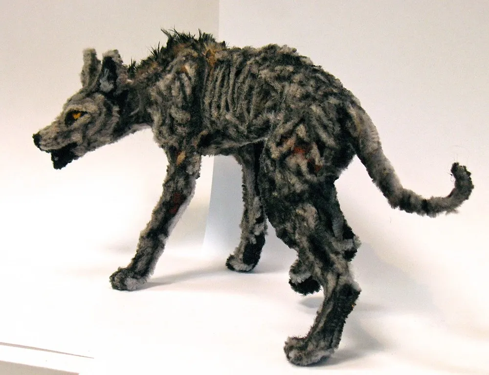 Pipe Cleaner Artist Lauren Ryan