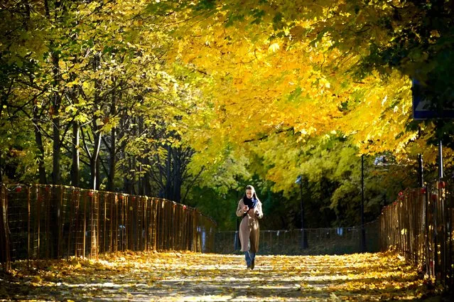 A woman walks in a park at Vorobyovy Hills in western Moscow on October 6, 2021. (Photo by Alexander Nemenov/AFP Photo)