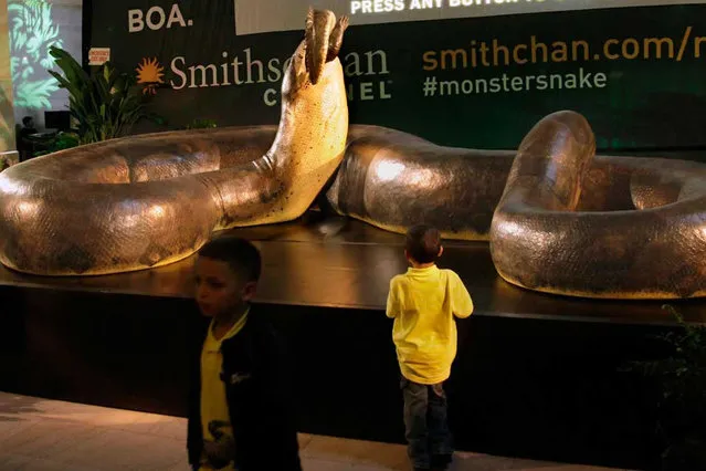 Titanoboa: Monster Snake