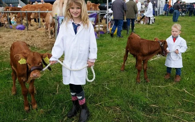 Jessie, 8 and George Barker, 3, from Kirkby Moorside hold their calves ahead of judging during the 41st North Yorkshire County Show at Camp Hill Estate on June 16, 2019 in Bedale, England. The North Yorkshire County Show is a traditional agricultural show with judging taking place for cattle, sheep, poultry, rabbit and cavy, show jumping and light horse events. Other activities at the show include a dog show, classic car display, vintage engines and tractors, farrier competition, a parade of hounds and the best dressed heavy horse. (Photo by Ian Forsyth/Getty Images)