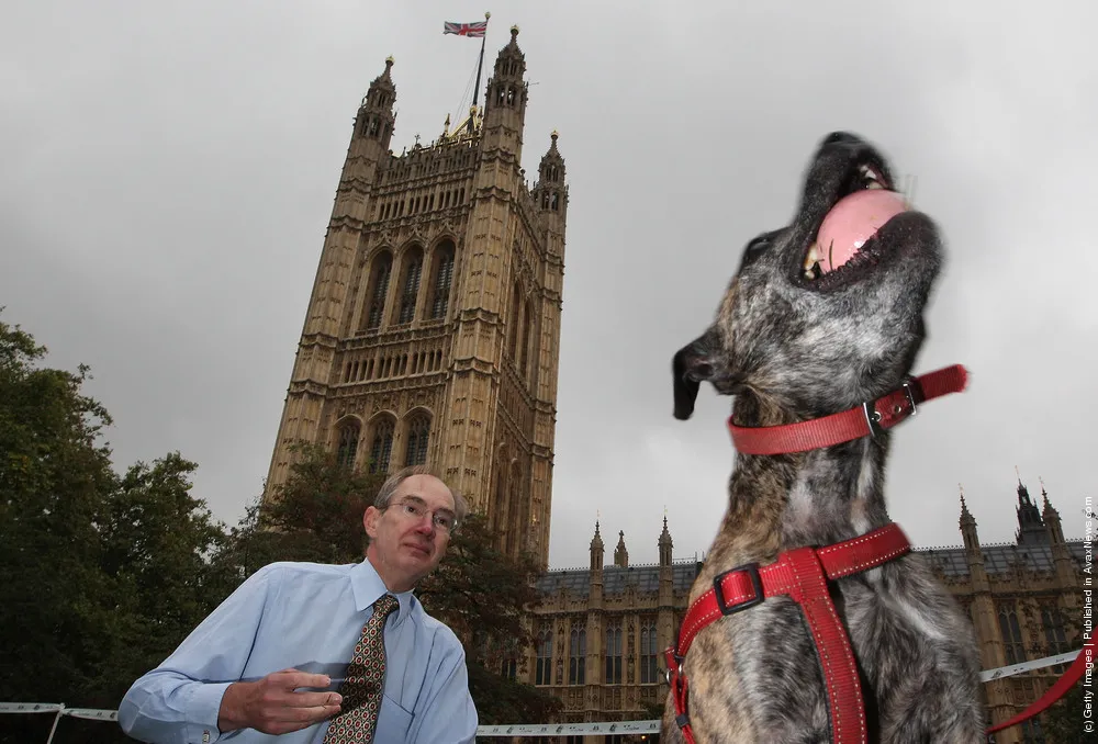 Parliamentary Dog Of The Year Show