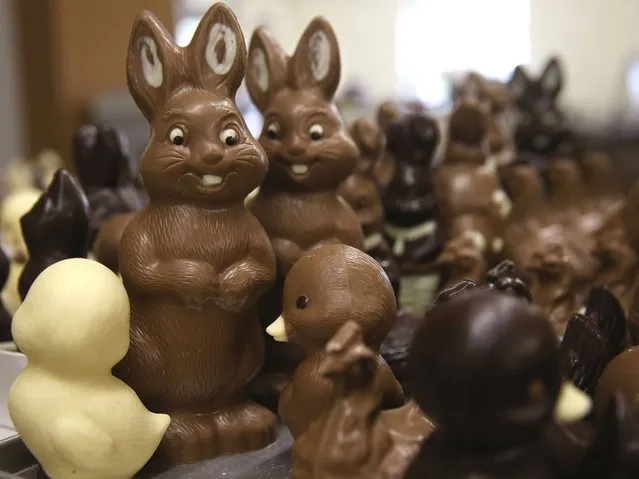 Chocolate Easter bunnies and other animals lie on a table prior to being packaged at the production facility at Confiserie Felicitas chocolates maker in Hornow. (Photo by Sean Gallup/Getty Images)
