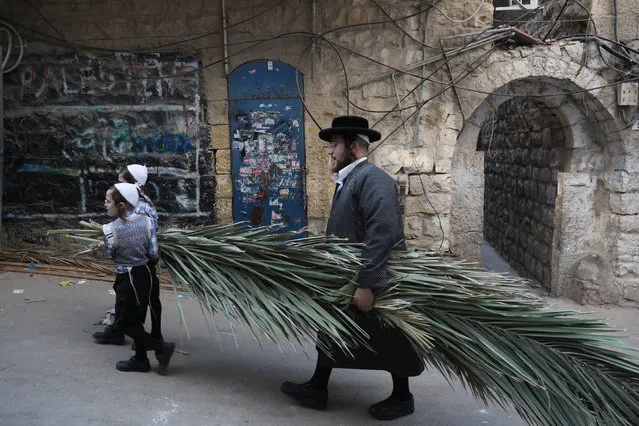 An Ultra-Orthodox Jewish man carries Palm branches, used during the celebration of Sukkot, the Feast of the Tabernacles, in the Ultra-Orthodox neighbourhood of Mea Shearim, Jerusalem, Israel, 10 October 2019. The Sukkot feast begins on 13 October at sunset and end on 20 October, commemorates the exodus of Jews from Egypt some 3,200 years ago. (Photo by Abir Sultan/EPA/EFE)