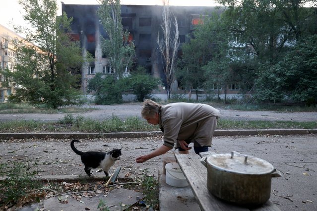 Local resident Tetyana, 72, feeds a cat in front of a burning apartment building after shelling in the town of Toretsk, Donetsk region, on July 29, 2024, amid the Russian invasion in Ukraine. Every day, risking her life, she distributes food to animals left in the city without owners. (Photo by Anatolii Stepanov/AFP Photo)