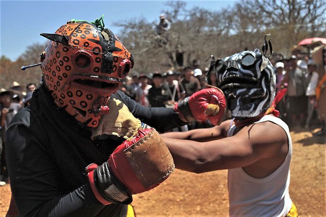 People participate in “La Pelea del Jaguar” in the municipality of Chilapa de Alvarez, state of Guerrero, Mexico on May 2, 2023. With striking attire, jaguar masks and leather or boxing gloves, residents of the Acatlan community stage the tecuanes fight, a pre-Hispanic rite that includes rites, prayers, processions and dances so that there is fertility in the land and abundant harvests; the stronger the blows, the more rain will fall for the benefit of the community. (Photo by Jose Luis de la Cruz/EPA/EFE)