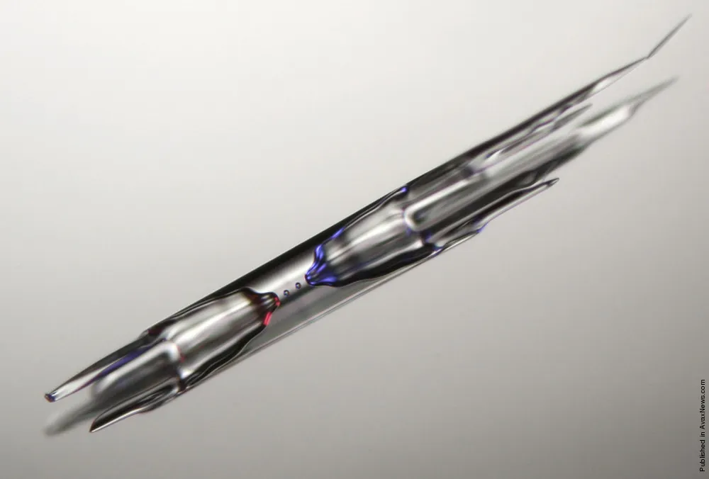 Nikon Small World Competition 2011 Winners