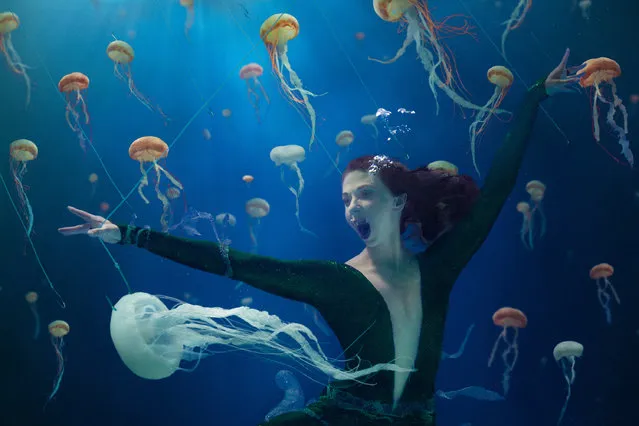 The filmmaker and dancer hopes that her combination of powerful imagery and 30 day challenges will inspire people to engage with conservation more actively, in San Francisco, California, June 2016. A dancer and filmmaker has been making waves with her unique underwater campaigns to help save the worldís ocean. Using her background in both dance and marine conservation, Christine Ren has embarked on a series of projects to produce striking images, in order to raise conservation awareness of the issues threatening the underwater environment. Along with her conservation campaigns, Christine also ties each image in the series with a 30 day challenge. She hopes that her combination of powerful imagery and 30 day challenges will inspire people to engage with conservation more actively. (Photo by Christine Ren/Barcroft Images)