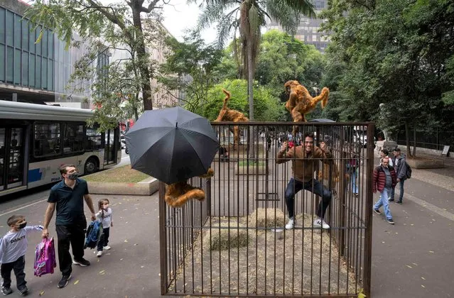 A visitor mimics a caged animal as he climbs an art installation created by Brazilian artist Eduardo Srur along Paulista Avenue in Sao Paulo, Brazil, Friday, May 6, 2022. According to the artist, the exhibition “Vida Livre”, or “Free Life”, intends to provoke society to rethink the culture of trapped animals for human entertainment. (Photo by Andre Penner/AP Photo)