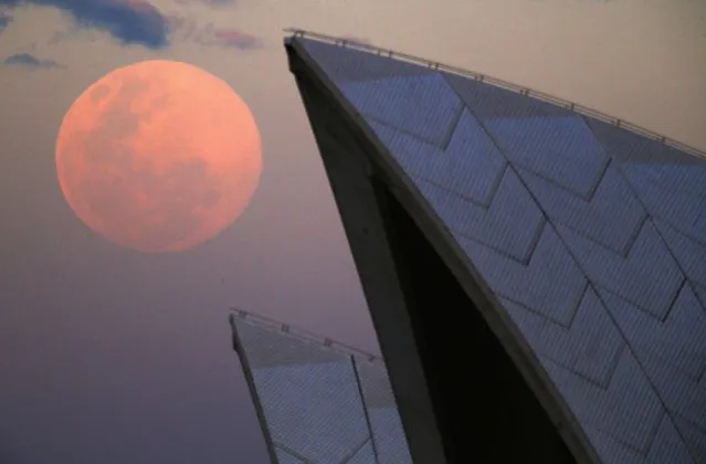 A supermoon rises behind the roof of the Sydney Opera House August 10, 2014. The astronomical event occurs when the moon is closest to Earth in its orbit, making it appear much larger and brighter than usual. (Photo by David Gray/Reuters)