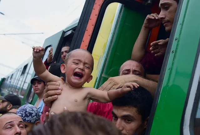 A migrant holds a crying boy out of a local train coming from Budapest and heading to the Austrian border, that has been stopped in Bicske, west of the Hungarian capital on September 3, 2015. The train carrying between 200 and 300 migrants left Budapest's main international train station after authorities re-opened the station to migrants as the EU is grappling with an unprecedented influx of people fleeing war, repression and poverty in what the bloc has described as its worst refugee crisis in 50 years. (Photo by Attila Kisbenedek/AFP Photo)