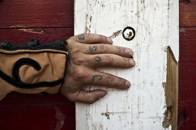 A fly alights on the tattooed index finger of Spanish bullfighter Jose “El Tatu” as he waits for the start of a bullfight during the festivities of San Roque, patron saint, in the village of Penafiel, Spain, Thursday, August 15, 2013. In August hundreds of villages around Spain celebrate their patron saints, with bullfights, music and party on the streets. (Photo by Daniel Ochoa de Olza/AP Photo)