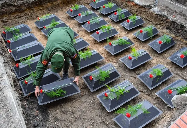 A Russian soldier places small coffins containing the remains of Soviet soldiers from the second world war, at the military cemetary in Lebus, Germany, 18 August 2016. The 35 red army soldiers died in the heavy fighting in the Oderbruch area in early 1945. The remains were recovered by the German War Graves Commission last year, and can now finally be laid to rest, more than 70 years after the war's end. (Photo by Patrick Pleul/EPA)