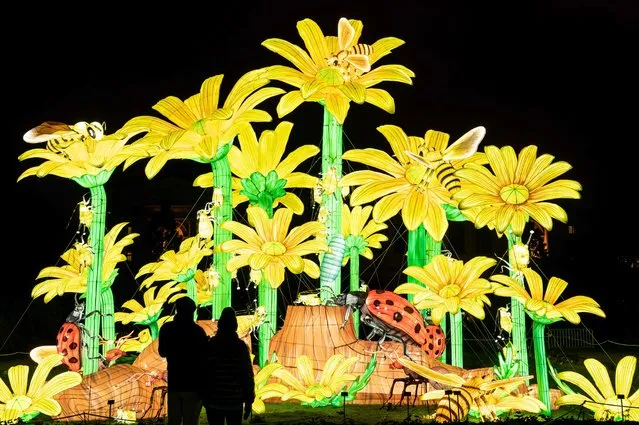 Shaped light structures are on display at the Jardin des Plantes in Paris, as part of the Fete des Lumieres exhibition entitled “Mini-Mondes en voie d'illumination (Mini-Worlds in the process of illumination)”, on November 14, 2022. (Photo by Bertrand Guay/AFP Photo)