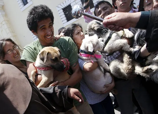 Owners hold their pets as a Catholic priest blesses them outside the San Francisco church in Lima, October 4, 2015. (Photo by Mariana Bazo/Reuters)