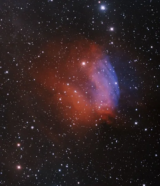 This undated National Optical Astronomy Observatory (NOAO) image of the Planetary Nebula Sh2-174, which may suggest a rose to some, was obtained with Mosaic 1 camera on the Mayall 4-meter telescope at Kitt Peak National Observatory in Tucson, Arizona. A planetary nebula is created when a low-mass star blows off its outer layers at the end of its life. The core of the star remains and is called a white dwarf. (Photo by T.A. Rector (University of Alaska Anchorage) and H. Schweiker/Reuters)
