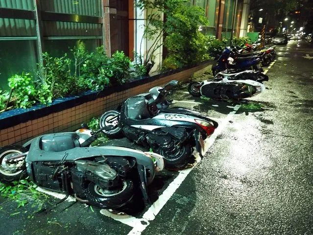 A picture taken on 27 September 201 shows motorcycles blown down by strong winds brought by Typhoon Megi in Taipei, Taiwan. Typhoon Megi hit Taiwan's east coast on 27 September afternoon, bringing strong wind and heavy rain, paralyzing land and air traffic. The storm left at least four people dead, 268 injured and cut power to nearly 1.3 million homes, according to the Central Emergency Operation Center. (Photo by David Chang/EPA)