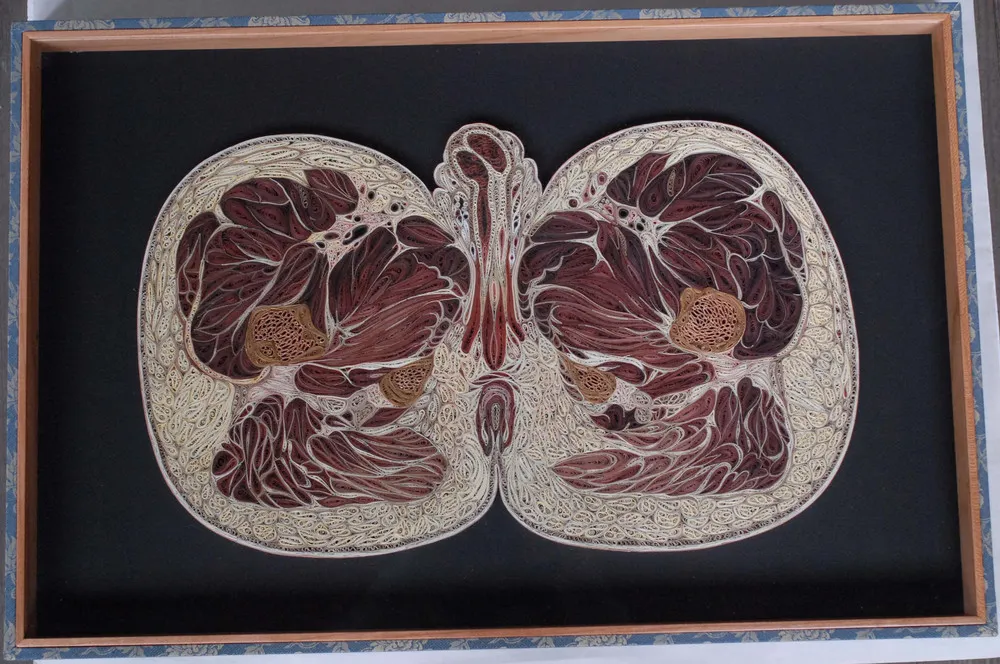  Paper Anatomy by Lisa Nilsson