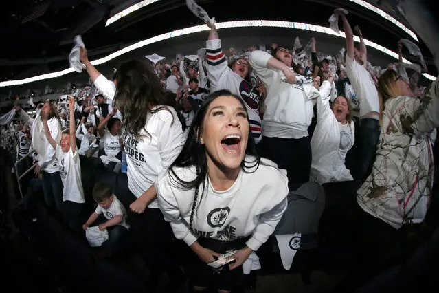 Winnipeg Jets fans react during a viewing party Thursday, May 10, 2018, in Winnipeg, Manitoba, for Game 7 of an NHL hockey second-round playoff series between the Jets and the Nashville Predators being played in Nashville, Tenn. (Photo by John Woods/The Canadian Press via AP Photo)