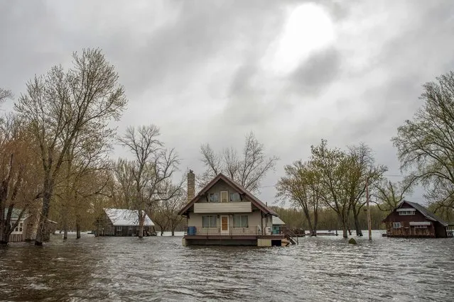 Cabins stand in high floodwaters on Bergman Island near McGregor, Iowa, Sunday, April 30, 2023. Community members worry that the high water could delay the start of the summer tourist season. (Photo by Nick Rohlman/The Gazette via AP Photo)