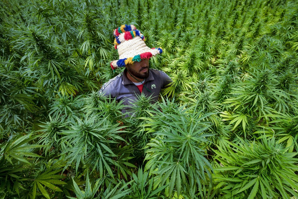 Pictures of the Year 2024, Part 144/240