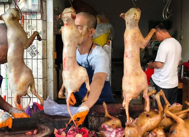 This photo taken on June 20, 2018 shows a vendor chopping up dog meat for a customer at the Dongkou market in Yulin in China' s southern Guangxi region, ahead of the Yulin dog meat festival which opens on June 21. The festival in the southwestern town of Yulin has long drawn international criticism, with thousands of dogs traditionally being killed during the event. (Photo by Pak Yiu/AFP Photo)