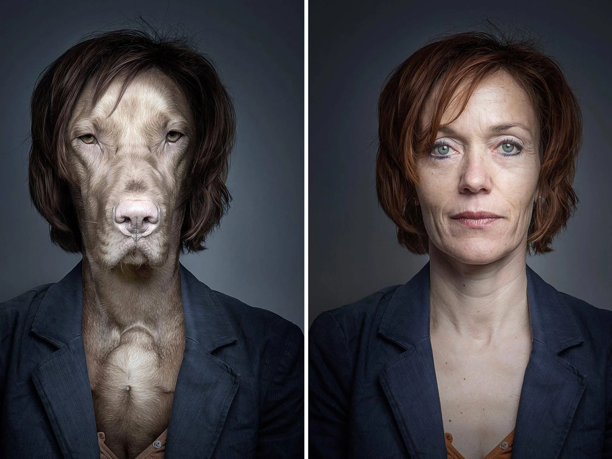 Спавшие животные людей. Себастьян Маньяни. Себастьян Маньяни фотограф. Собаки похожие на людей. Гибриды людей с животными.