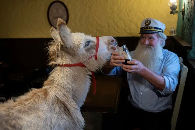 Pake Diskin, 72, holds a glass of Guinness as a donkey called Holly licks it, in the pub that featured in Martin McDonagh's film “The Banshees of Inisherin” called JJ Devine's Public House, which has been relocated and rebuilt at family-run Mee’s Bar, in Kilkerrin, Ireland on July 4, 2023. The film pub was built on location on the island of Achill, but was dismantled and left in a yard after the movie wrapped, later salvaged by the Mee family and is now open for business. (Photo by Clodagh Kilcoyne/Reuters)