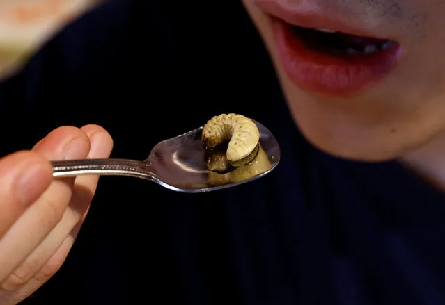 Shunnosuke Suga eats beetle larvae, as he eats Almond tofu with beetle larvae at Take-Noko cafe in Tokyo, Japan, July 21, 2023. (Photo by Kim Kyung-Hoon/Reuters)