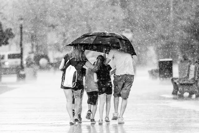 “Under One Cover”. (Photo by Saibal K. Ghosh)