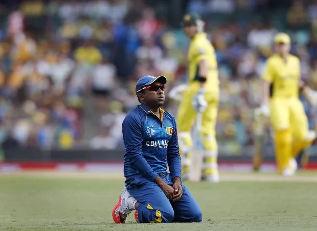 Sri Lanka's Mahela Jayawardene reacts after failing to prevent a boundary during their Cricket World Cup match against Australia in Sydney, March 8, 2015. REUTERS/Jason Reed (AUSTRALIA - Tags: SPORT CRICKET)