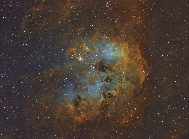 IC410 is a emission nebula in the constellation Auriga. It is apromimatly 12,000 light years away. Partly obscured by foreground dust,  NGC 1893  a young  cluster of stars  energizes the glowing gas. (Bill Snyder)
