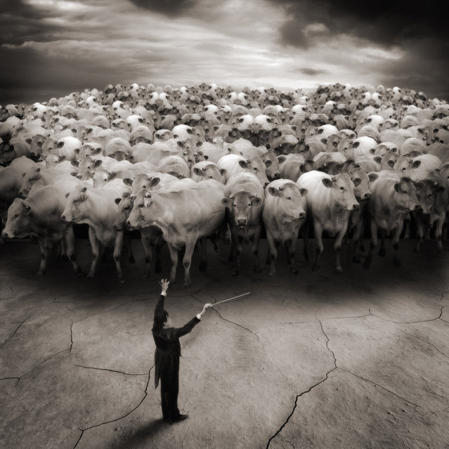“The Big Choir”. (Photo and caption by Yves Lecoq)