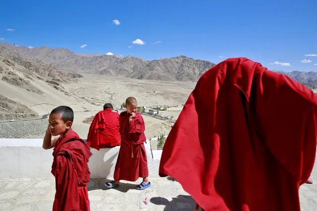 Young monks take a break from their studies inside Thiksey Monastery in Ladakh, India September 26, 2016. (Photo by Cathal McNaughton/Reuters)