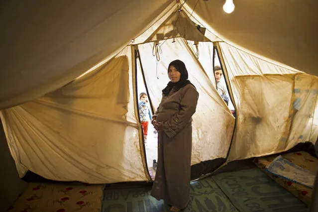 In this Monday, March 16, 2015 photo, Syrian refugee Taleea Farhan, 33, a mother of four children who is seven months pregnant, poses for a photograph inside her tent at an informal tented settlement near the Syrian border, on the outskirts of Mafraq, Jordan. (Photo by Muhammed Muheisen/AP Photo)
