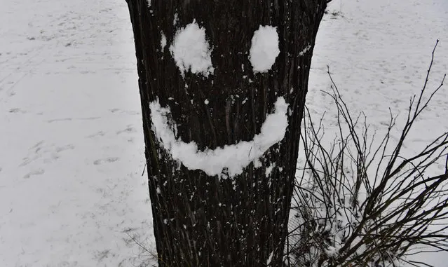 A smiley face made of snow brightens up a tree in a park in Berlin on January 8, 2017. (Photo by John MacDougall/AFP Photo)