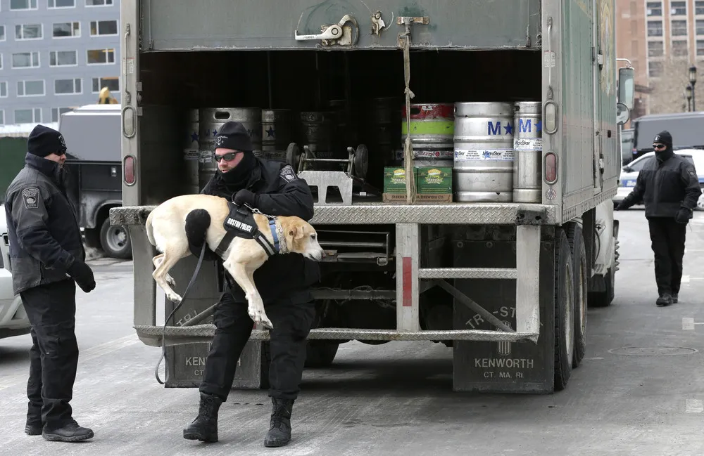 Bomb-Sniffing Dogs