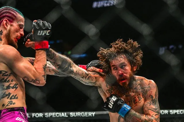 Current champion USA's Sean O'Malley (L) fights Ecuador's Marlon Vera during their UFC Bantamweight Championship bout at the Kaseya Center in Miami, Florida, on March 9, 2024. between (Photo by Giorgio Viera/AFP Photo)