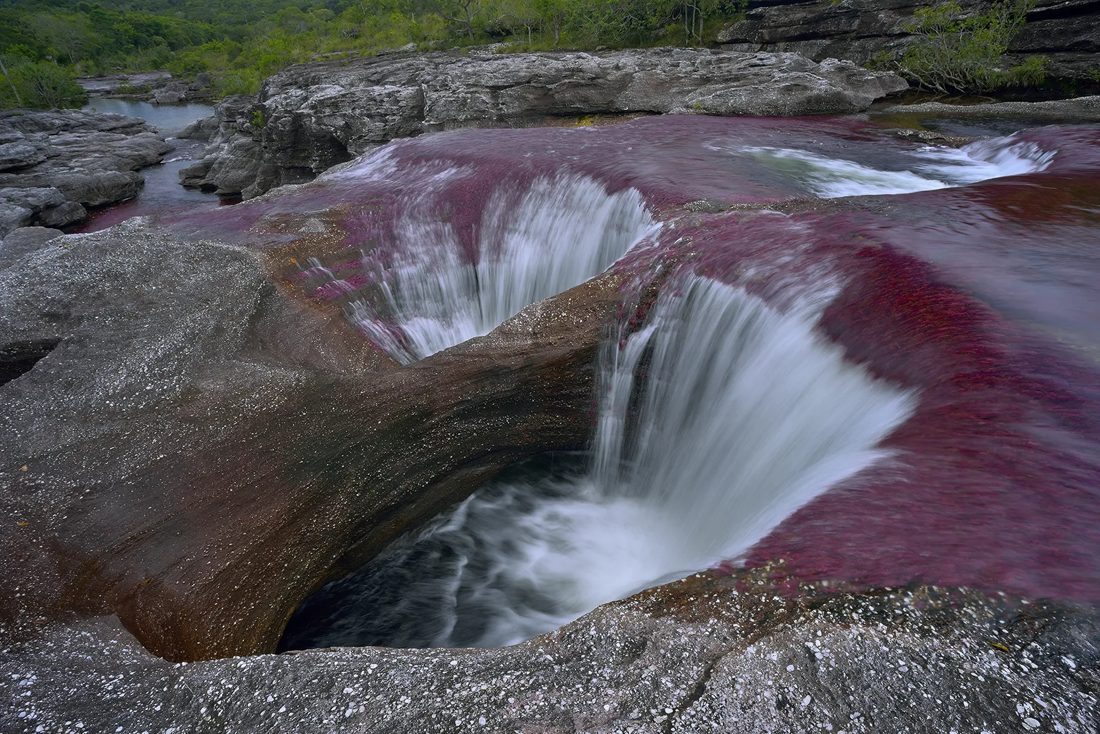 Вода необычные фото. Река Каньо Кристалес. Река Каньо-Кристалес Колумбия. Национальный парк Макарена Колумбия. Сьерра Макарена Колумбия.