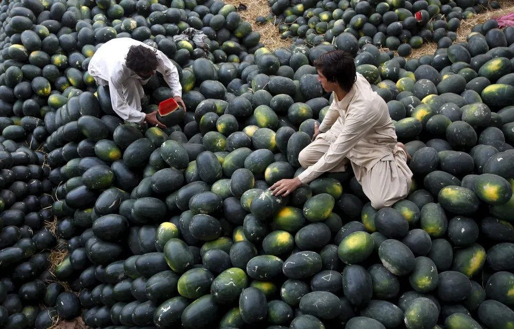 A Look at Life in Pakistan